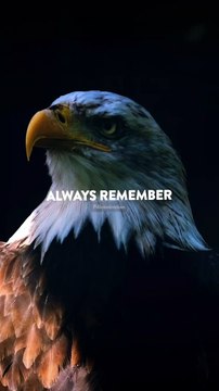 Sigma rule I WhatsApp status I Motivational quotes #shorts #attitude #sigmarule