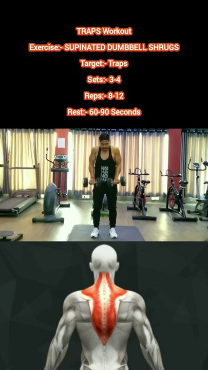 ❌ SUPINATED DUMBBELL SHRUGS ✔️ Which exercise is most effective for TRAPS?  #heermlgangaputra #naturalbodybuilding #workout #fitness #gym #muscle #training #tips