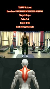 ❌ SUPINATED DUMBBELL SHRUGS ✔️ Which exercise is most effective for TRAPS? #heermlgangaputra #naturalbodybuilding #workout #fitness #gym #muscle #training #tips