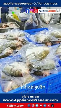 Innovating Seafood Sorting with a Fish Size Sorting Machine