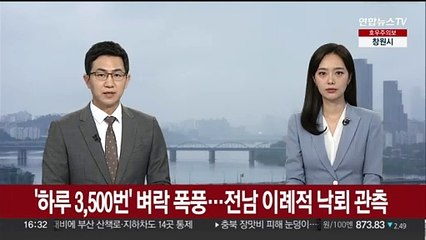 '하루 3,500번' 벼락 폭풍…전남 이례적 낙뢰 관측
