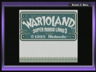 ingame Super Mario Land 3 : Wario Land