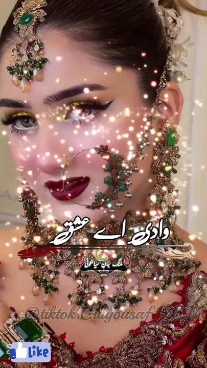 Video song3