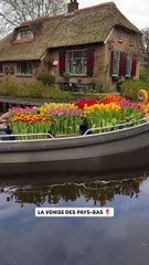 Un air de Venise dans le petit village néerlandais de Giethoorn 