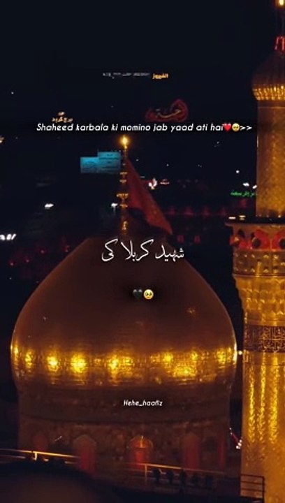VID-20240716-WA0075