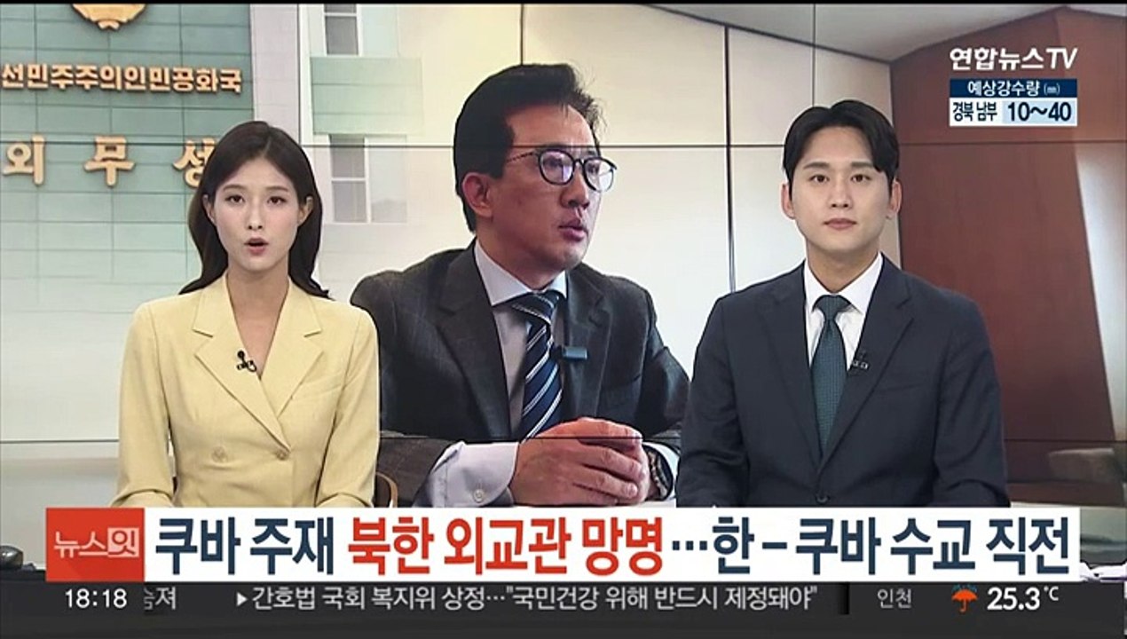 쿠바 주재 북한 고위 외교관 망명…한-쿠바 수교 직전