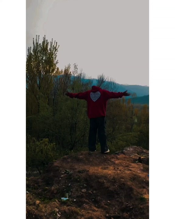 Dailymotionvideos