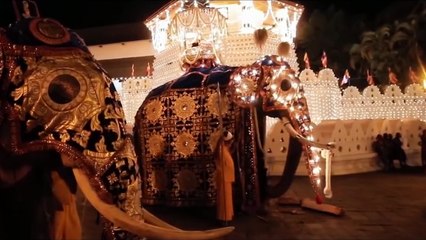 Bass Boosted | Drums Aligned | දෙව්පුර ඇතෙකි | 2023 Esala Perahera Song For Nedungamuwe Raja | Gajaga EDM | Dewpura Atheki Song