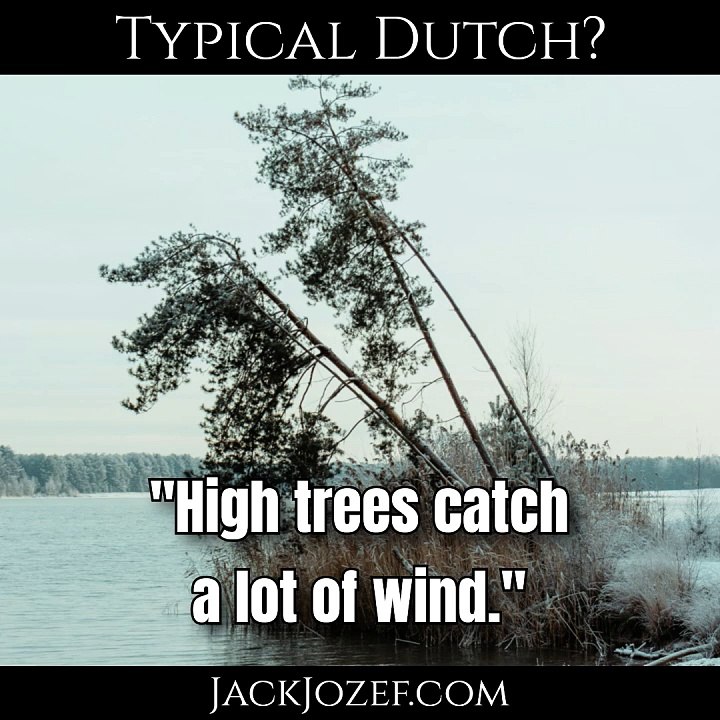 #001 - Typical Dutch ‐ "High trees."