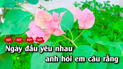 Karaoke Tiền Thắng Tình Thua Tone Nữ Nhạc Sống - Hoài Phong Organ