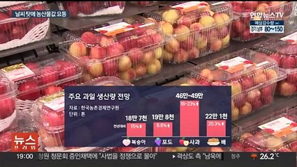 여름철 과일값 안정세인데…폭우로 '상추 가격' 급등