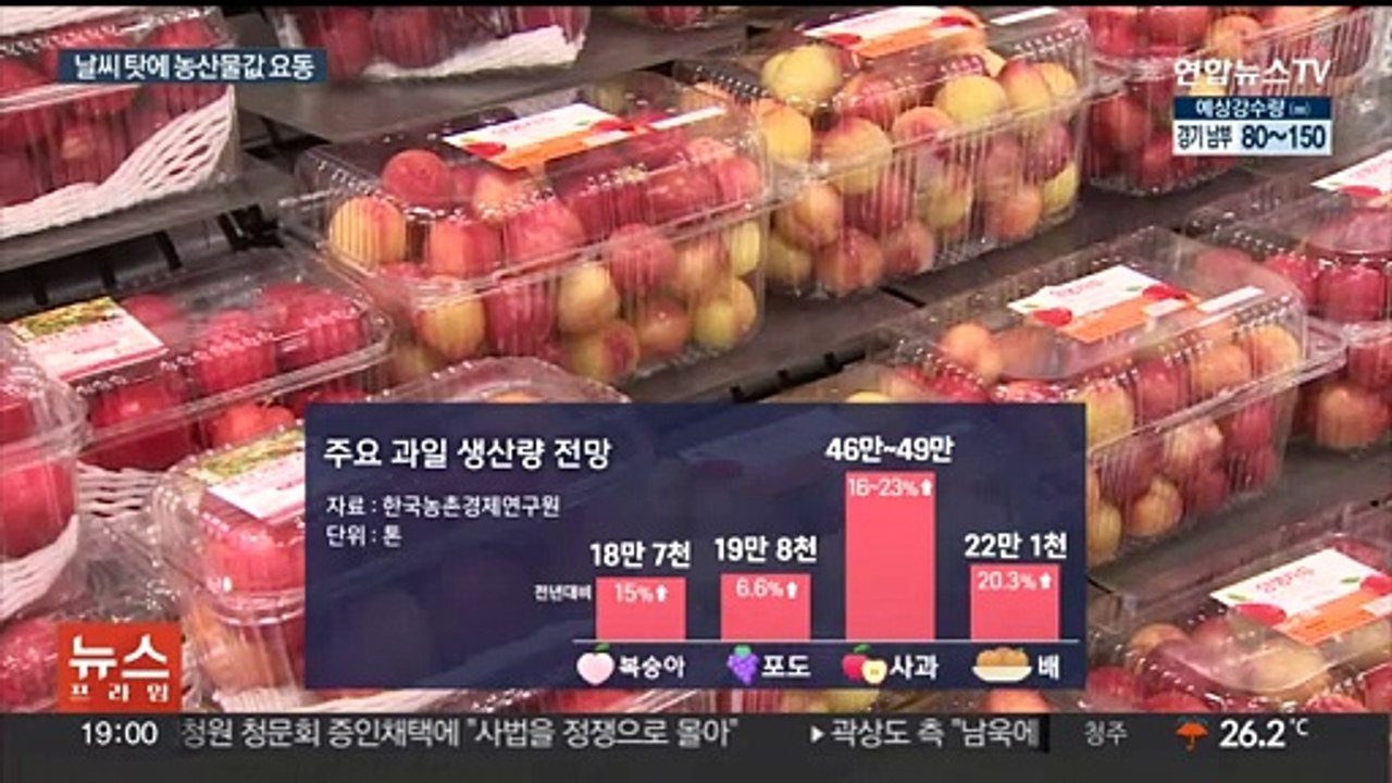 여름철 과일값 안정세인데…폭우로 '상추 가격' 급등