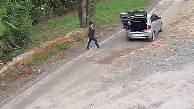Mulher abandona filhotes e cachorros em estrada