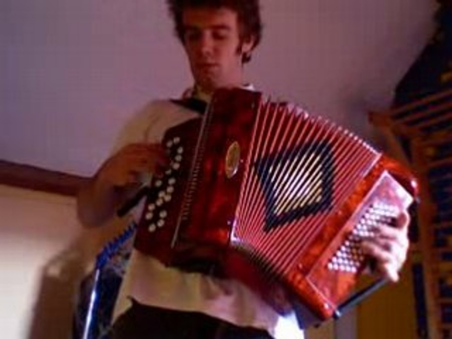 Chat Noir Chat Blanc Accordeon