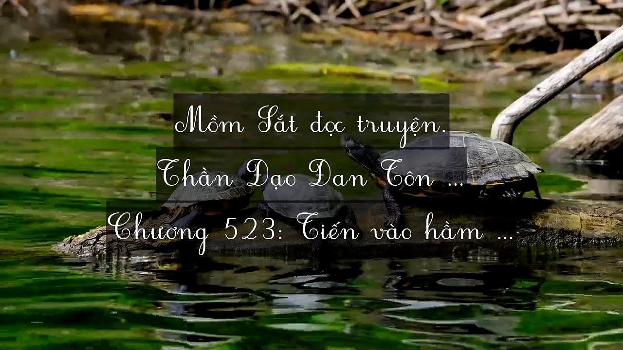 Mới 2024 Chương 521-530: Thần Đạo Đan Tôn