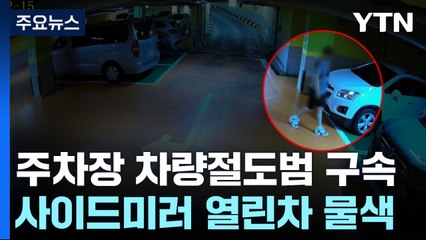 "차 훔쳐 번호판 교체...사이드미러 안 접힌 차 노려" / YTN