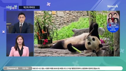 [여랑야랑]‘탄핵글’ 알바모집? / 홍준표·오세훈 ‘제2의 푸바오’ 경쟁? / ‘최장 지각’ 국회?