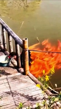 Beautiful Quran recitation | Tilawat e Quran Pak |Tilawat |Quran