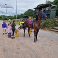 Wales & Border Counties Harness Racing at Ammanford