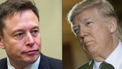 US-Wahlkampf: Elon Musk will Trump mit 45 Millionen Dollar unterstützen – monatlich
