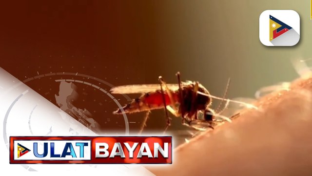 Kaso ng dengue sa kabuuan ng bansa, tumaas ng 30% ayon sa DOH