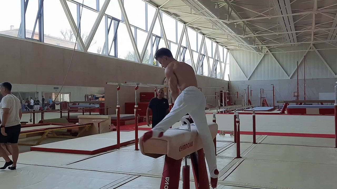 L'équipe de gymnastique olympique du Canada s'entraine au cheval d'arçons à Avignon