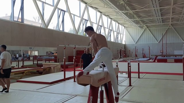 L'équipe de gymnastique olympique du Canada s'entraine au cheval d'arçons à Avignon
