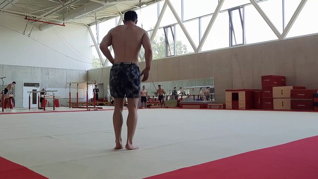 L'équipe de gymnastique olympique du Canada s'entraine au sol à Avignon