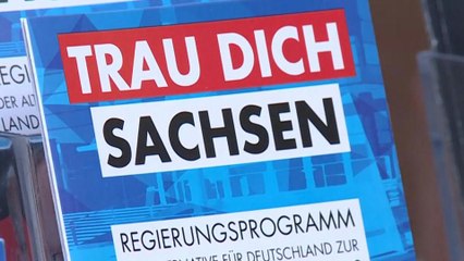 AfD Sachsen laut Gericht gesichert rechtsextrem