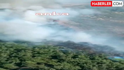 Hatay'ın Belen ilçesinde orman yangını çıktı