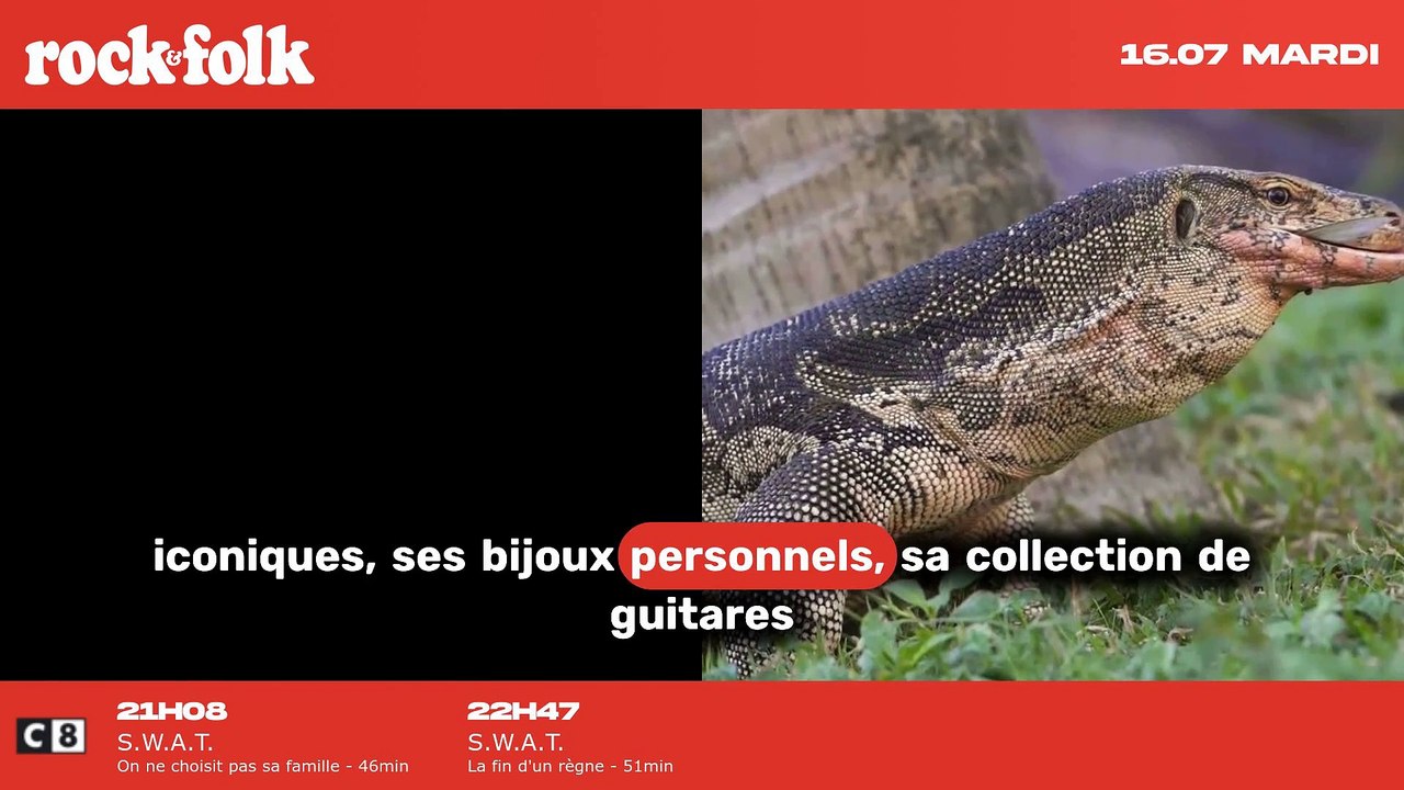 L'exposition de Johnny Hallyday débarque à Paris après Bruxelles.