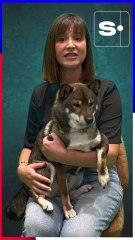 Dois-je laisser de la nourriture en libre accès à mon animal ?