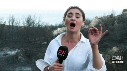 Çeşme’de yemyeşil orman katran karasına döndü