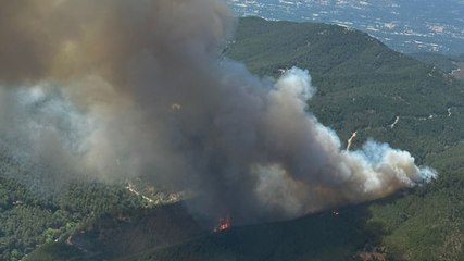 Bergama'da orman yangını