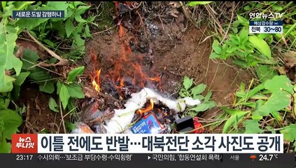 "기막힌 대가 각오하라"는 김여정…신종 도발 감행하나