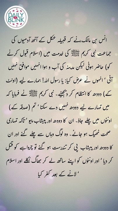 Daily Hadees | Hadees Sharif | Sahih Bukhari 3018 || Daily Blink #shorts #hadees #hadith