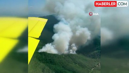 Bergama'daki orman yangına havadan ve karadan müdahale