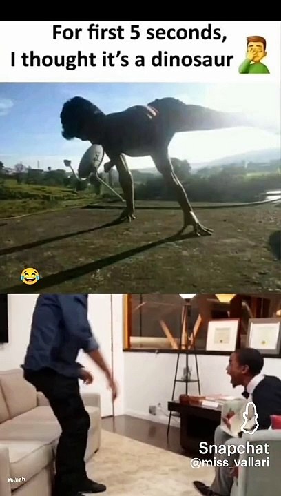 Dinasaur 