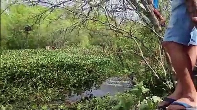 Bombeiros continuam as buscas de mulher vítima de afogamento em Caruaru