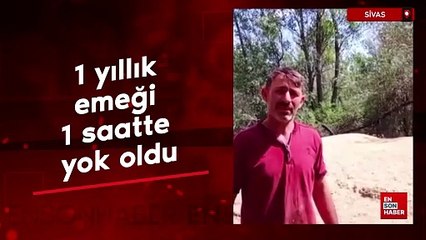 Sivas'ta sağanak: Ekili alanlar zarar gördü