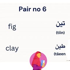 Arabic vocabulary 7|  confusing Arabic words | similar Arabic words