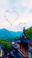 Beautifulbirds#shorts_#status_#status_video__#nature#birds(720p)