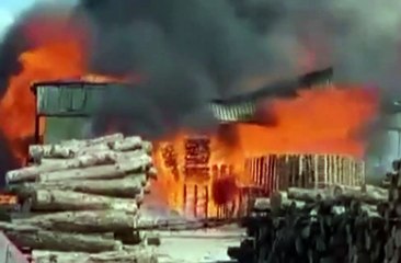 Kereste fabrikasında yangın çıktı