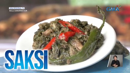 Katnga o gabi leaves, ginawang main ingredient sa isang cooking contest | Saksi