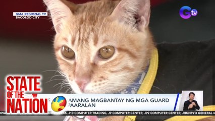 State of the Nation Part 2 & 3: G! sa Mt. Daraitan at Tinipak River; Security Guard na pusa; Atbp.v