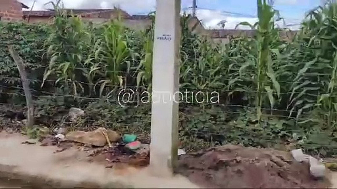 idoso encontrado em residência no Agreste alagoano