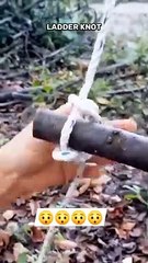 Learn How to Tie a Ladder Knot Easily 🪢