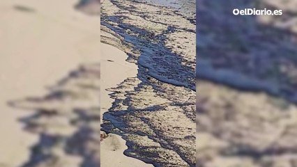 Un vertido de fuel en el parque natural de L'Albufera obliga a cerrar varias playas