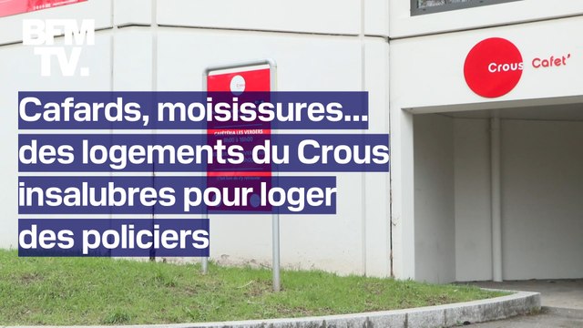 Cafards, crottes de souris, moisissures... des résidences étudiantes insalubres pour loger des policiers pendant les JO