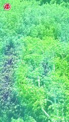 Sedema frena construir nuevo juego mecánico en el Ajusco